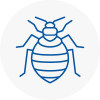 Bed Bug Extermination In Haslemere